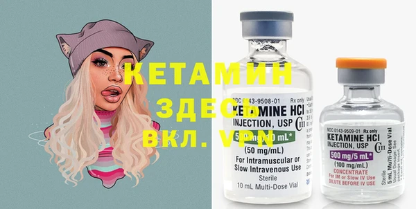 индика Медвежьегорск