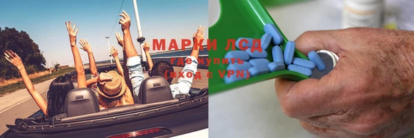 индика Медвежьегорск