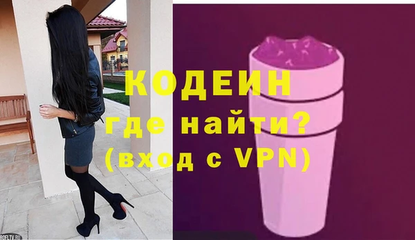 индика Медвежьегорск