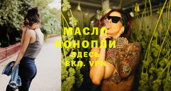 индика Медвежьегорск
