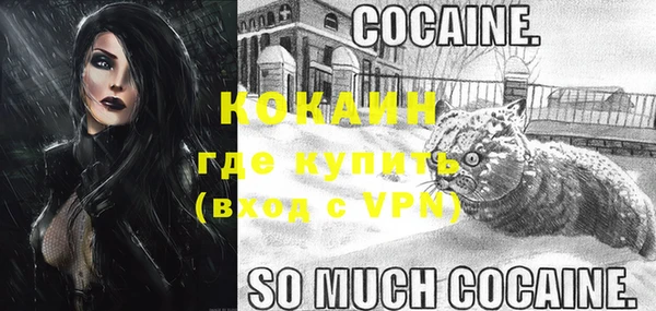 индика Медвежьегорск