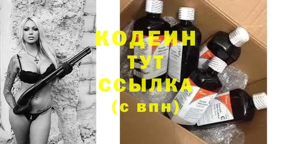 индика Медвежьегорск