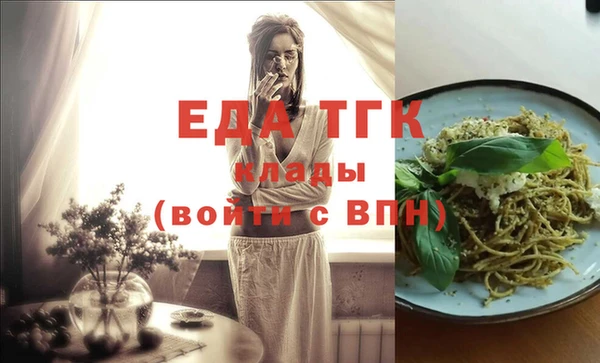 индика Медвежьегорск