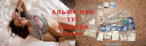 индика Медвежьегорск