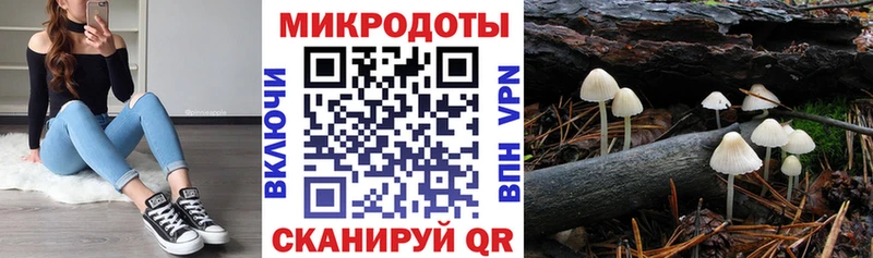 Псилоцибиновые грибы ЛСД  закладка  Мамоново 